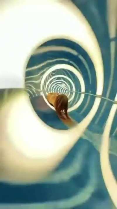 Trippiest and coolest slide ever.