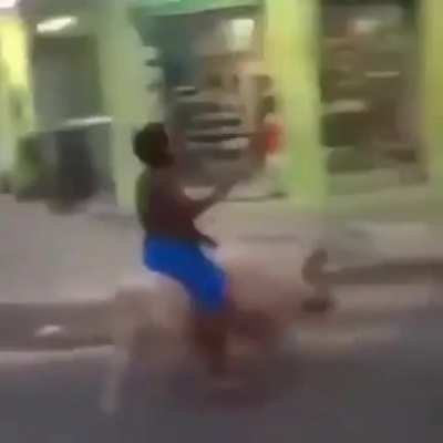 hog rida irl?!?!?!