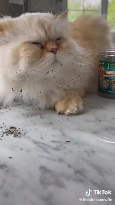 Only the best chronic for her cat