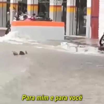 Bora nadar galera?