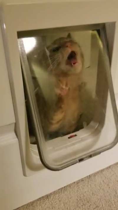 Why go through the door when you can try eating it instead?