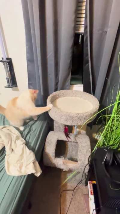 Touch the pepperon
