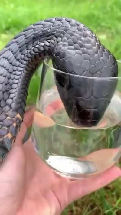 hmm