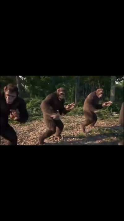 Now that’s what I call ape