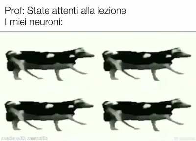 Estremamente vero *attivate il volume*