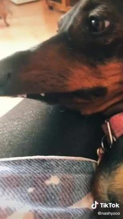 Count Dachula