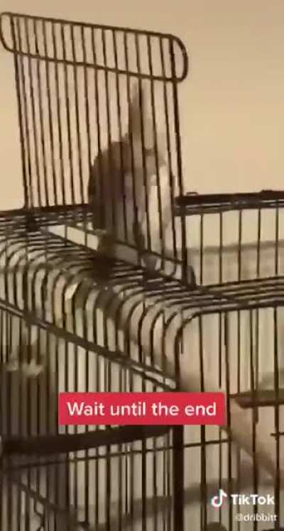 Screm