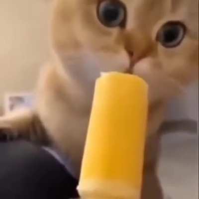 😳