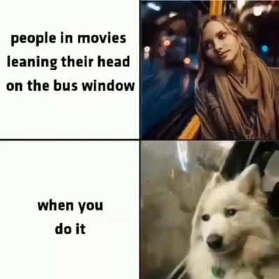 absolutelynotme_irl