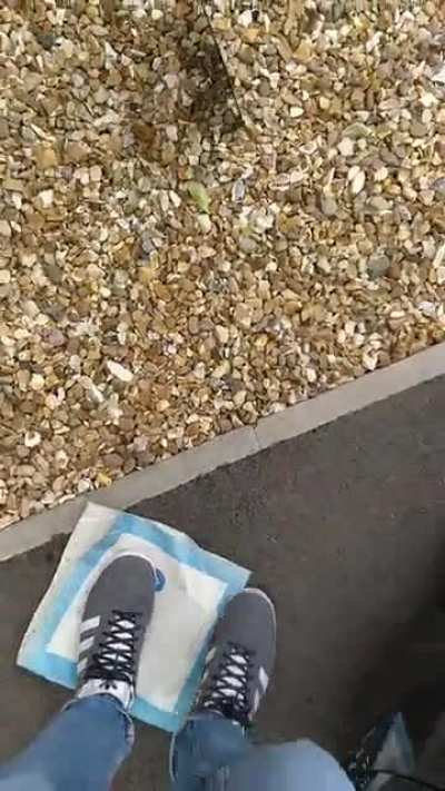 How to safely store your 1st press edition of Dark Side of the Moon.