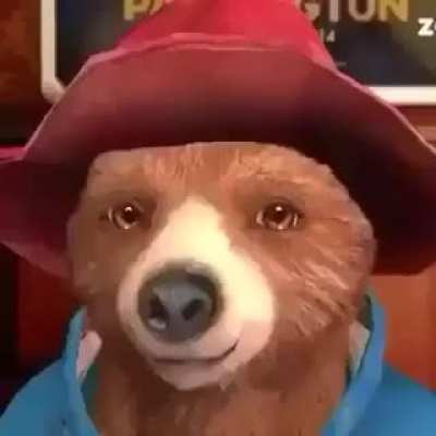 Paddigton