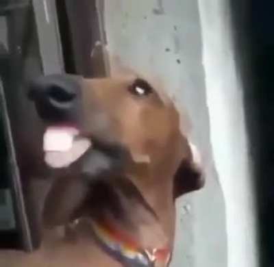 h°0Jjjjjjjjjjjjjjj