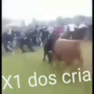 Olha esse gelo agachando 😎👌