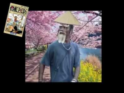 Maau 2019 japonés