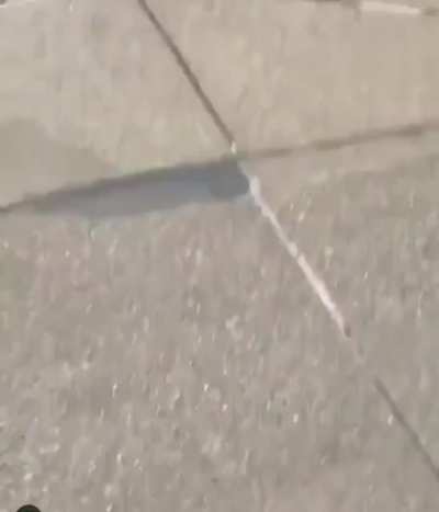 Oopsie Daisy