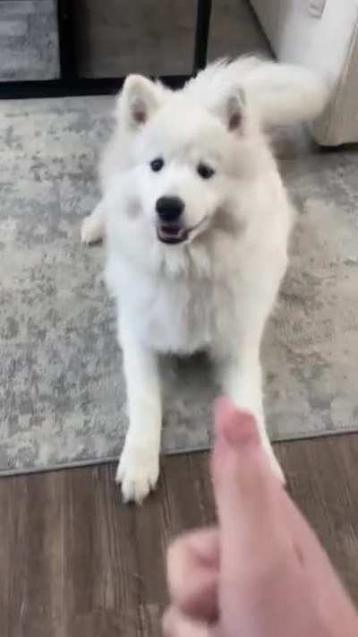 Bang!