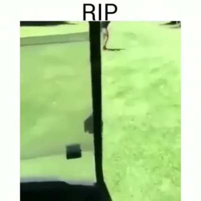 Friends pranking each other