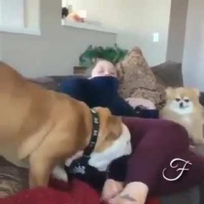 Sniffed wrong place