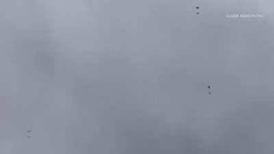 Family at dog park sees airplane pieces falling around them