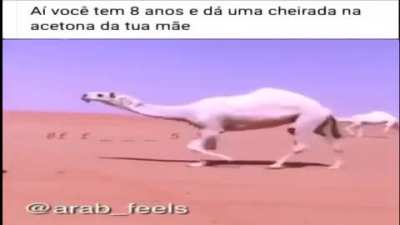 Título?