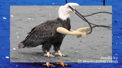 American pride