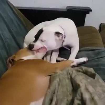 Busted
