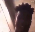 Flyboy posted this 😭 just wanted to share