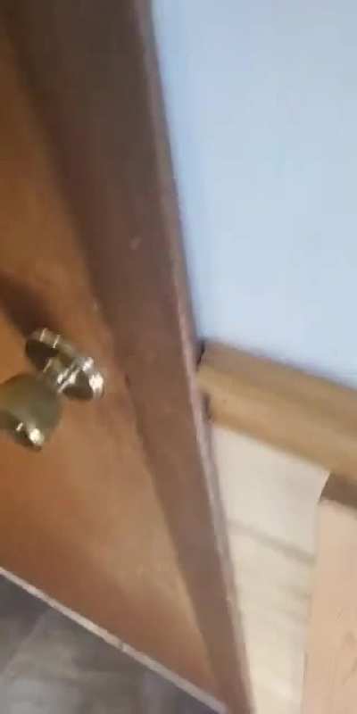 POV: You have awoken M̴u̴n̷g̶ ̵D̸a̵h̶l̷