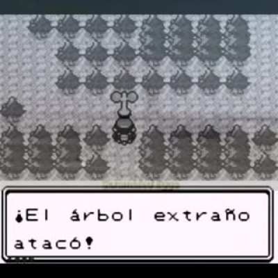 * recuerdos de vietnam *