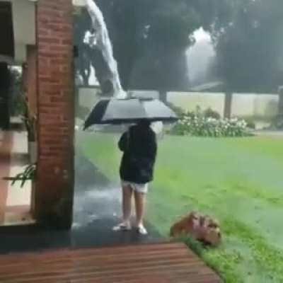 Under the umbrella