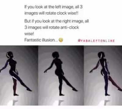 The 