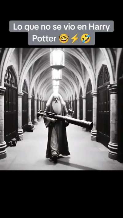 Lo que usted no vio de Harry Potter 