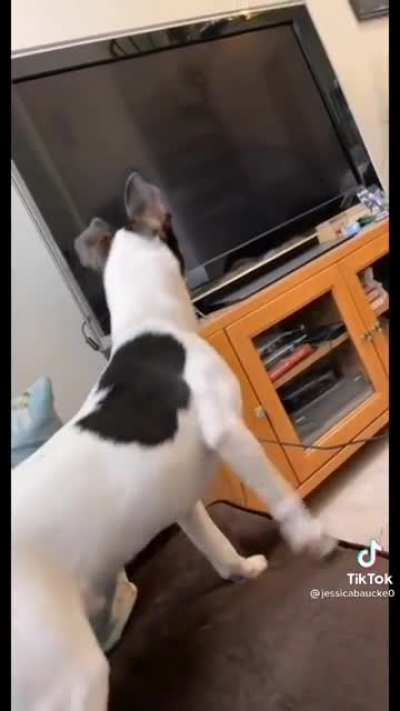 Wait for it