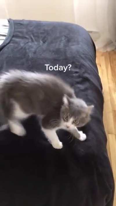 You Talking To Me?