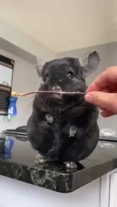 He just 🤏🤚