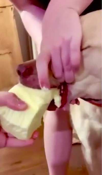 Butter