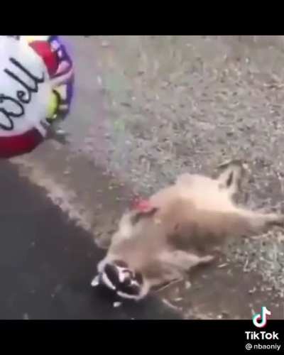 F