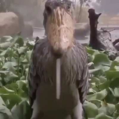 0_0