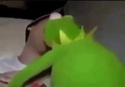 kermit wtf