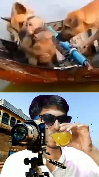 Life of Cameraman