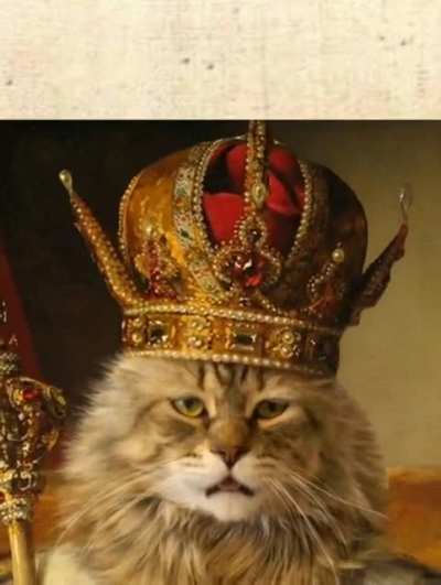 Exquisite felines my good sir