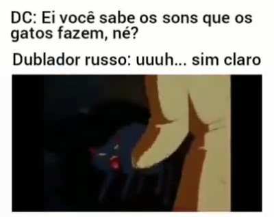 gato russo é diferente eu acho