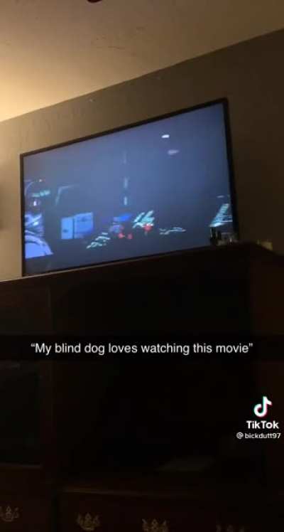 My favorite movie too