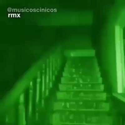 Pack do amarilio