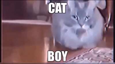 I don't know if anyone is gona understand the refrenc but eh