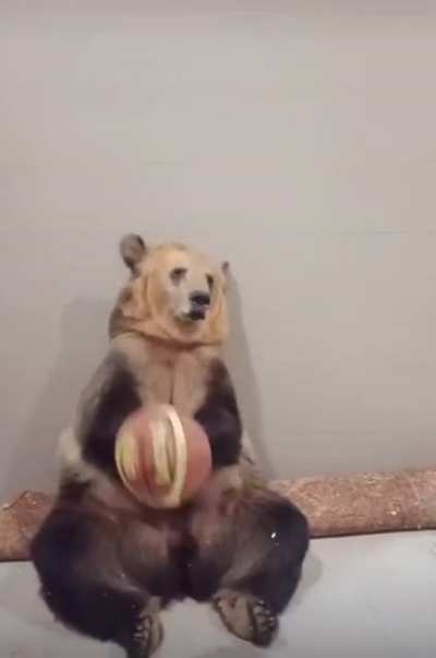 Getting ready for his try out with the Memphis Grizzlies