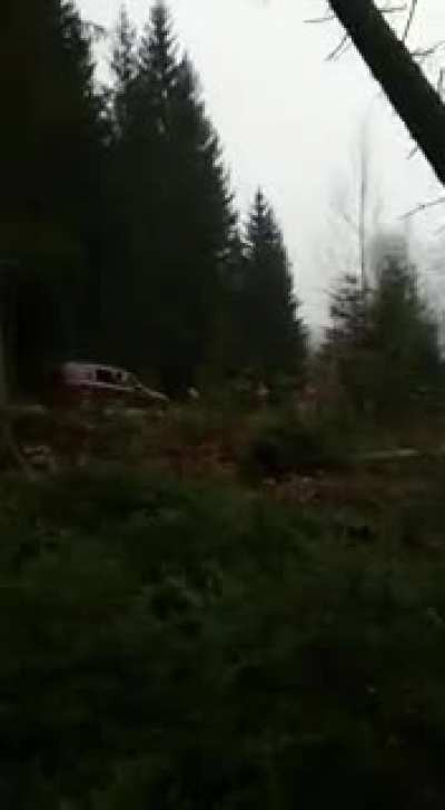Tree cutting isn’t made for all