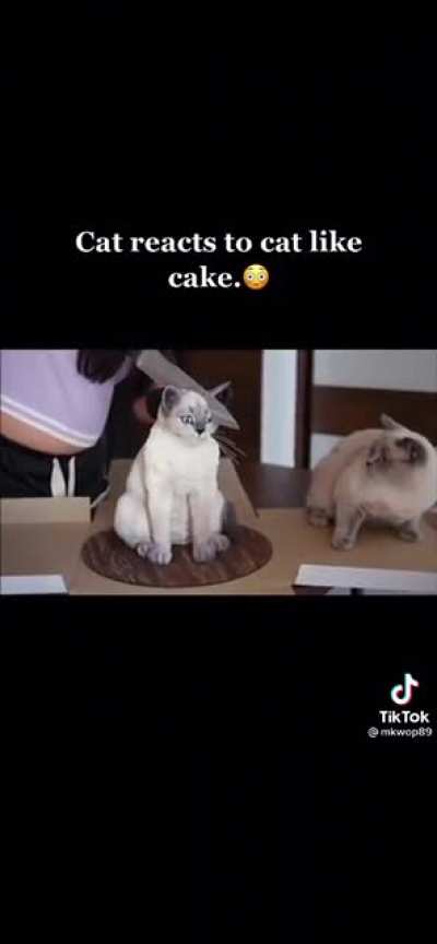 Not only does this look gross, they traumatized a cat in the process