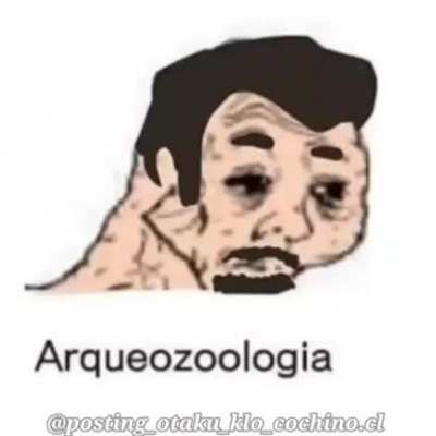 Correcto