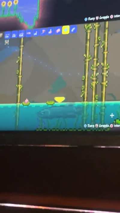Arowana